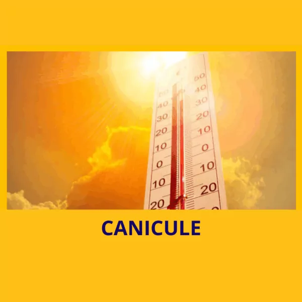 affiche canicule