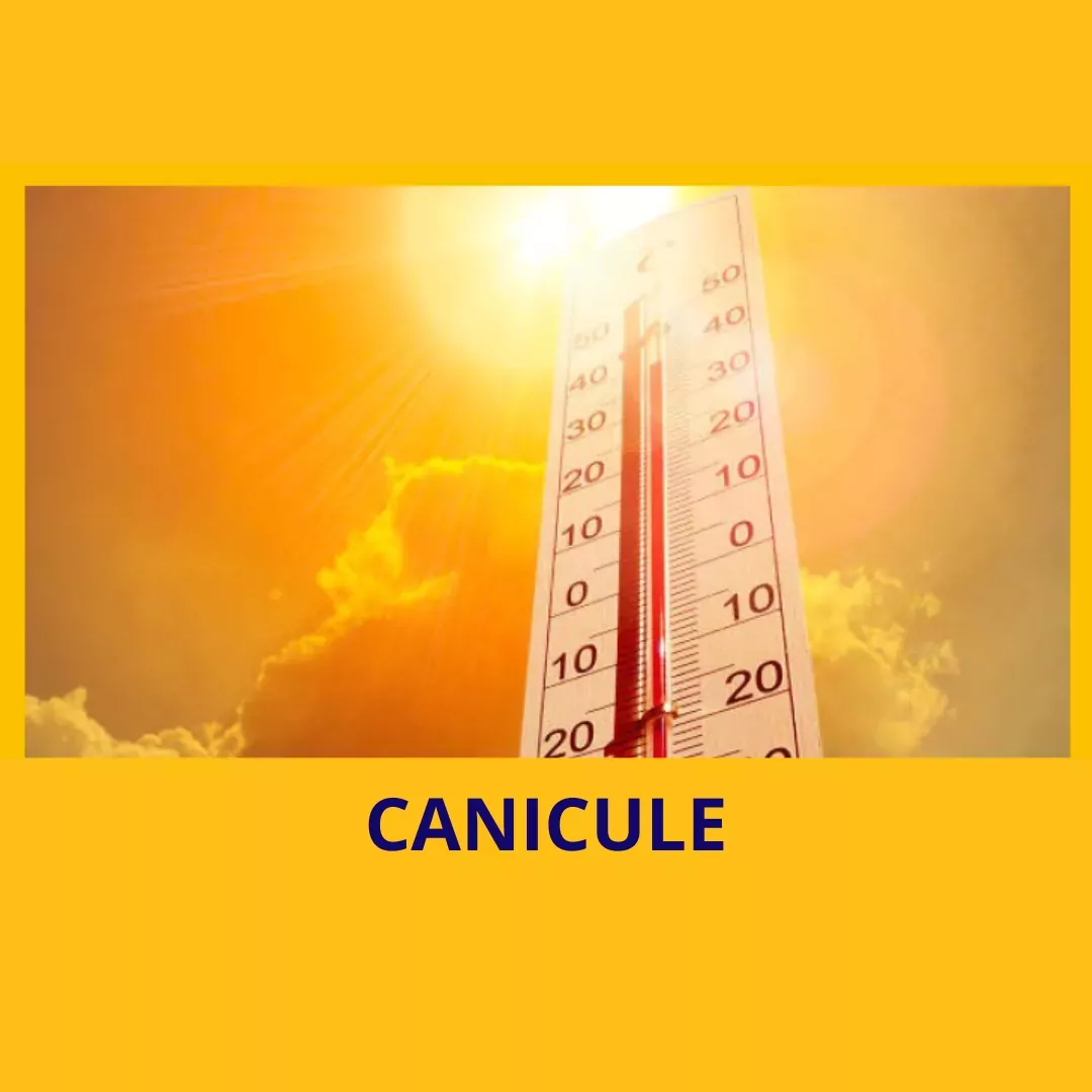 affiche canicule